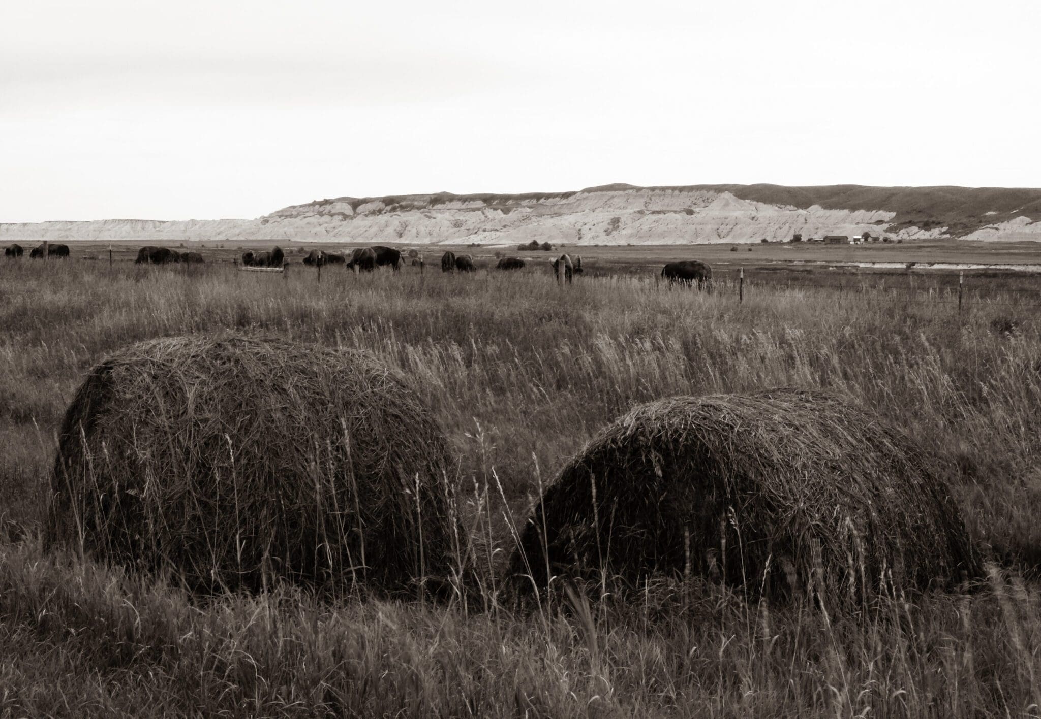 badlands national park